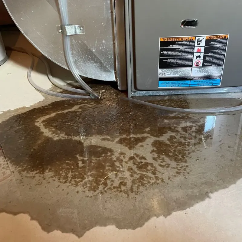 Pipe Burst and Leak Restoration in Linden, NJ