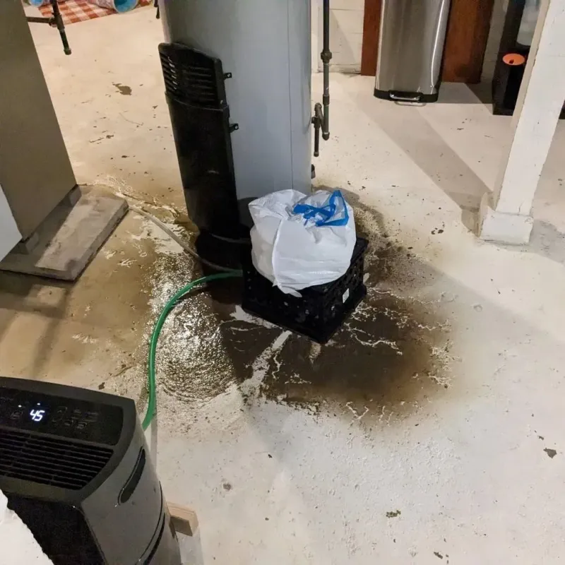 Sewage Backup Cleanup Service in Linden, NJ